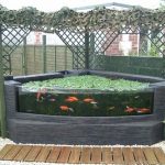 20+ Most Clever Above Ground Koi Pond with Window Ideas