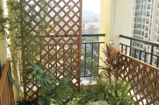 Apartment Balcony Privacy Screen | Le Zai Le Zai Gardening Company