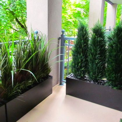 Condo Balcony Privacy Screen u2026 | plants in 2019u2026