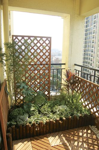 Apartment Balcony Privacy Screen | Le Zai Le Zai Gardening Company