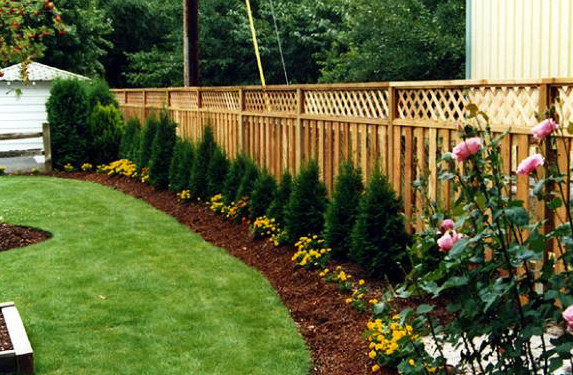 Ideas And Tips To Help You Landscape Along Your Fence Line - Working