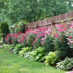 Top 5 Rules for Choosing Plants for your Garden | Gardening