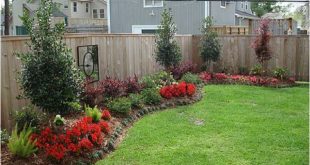 Backyard, along the fence? | Outdoor ideas | Backyard landscaping