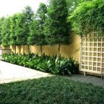 Backyard Privacy Landscaping Ideas Best  | Backyard | Pinterest