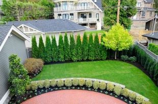 Privacy Landscaping Ideas Ideas, Pictures, Remodel and Decor | Yard