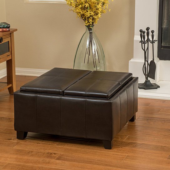 Buy Justin 2-Tray-Top Brown Leather Ottoman Coffee Table w/ Storage