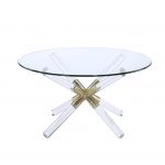 ACME Kalani Coffee Table in Gold, Clear Acrylic and Clear Glass
