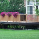 plants for deck - Google Search