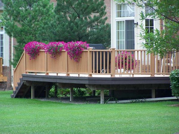 plants for deck - Google Search