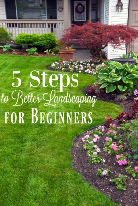 How to Landscape Your Home - Easy Landscaping Tips for Beginners