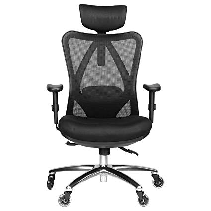 Amazon.com : Duramont Ergonomic Adjustable Office Chair with Lumbar