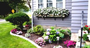 Flower Bed Ideas For Front Of House Back Front Yard Landscaping