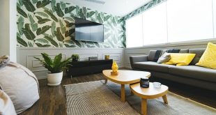 27 Feng Shui Living Room Tips & Rules: Location, Design, Furniture