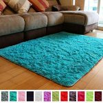 Amazon.com: PAGISOFE Soft Fluffy Blue Area Rugs for Bedroom Kids