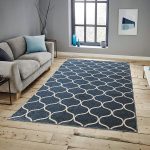 Area Rugs for Living room Area Rugs Clearance 5x7 Runner Rug, Blue
