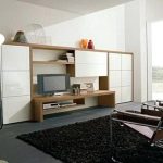 Store in the modern living room storage cabinets with doors