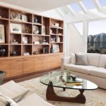 Living Room Cabinets With Doors Choice Image Design Modern