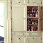 10 Kitchen Pantry Ideas for Your Home | Home-inside and out | Built