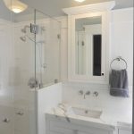 Very Small Master Bath - Conversion from 1/2 Bath - Traditional