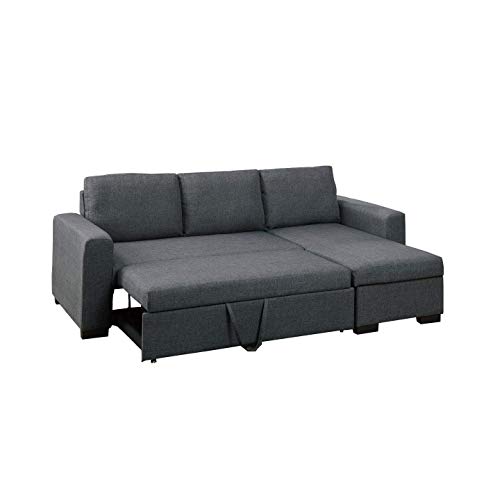 Sleeper Sofa with Storage: Amazon.com