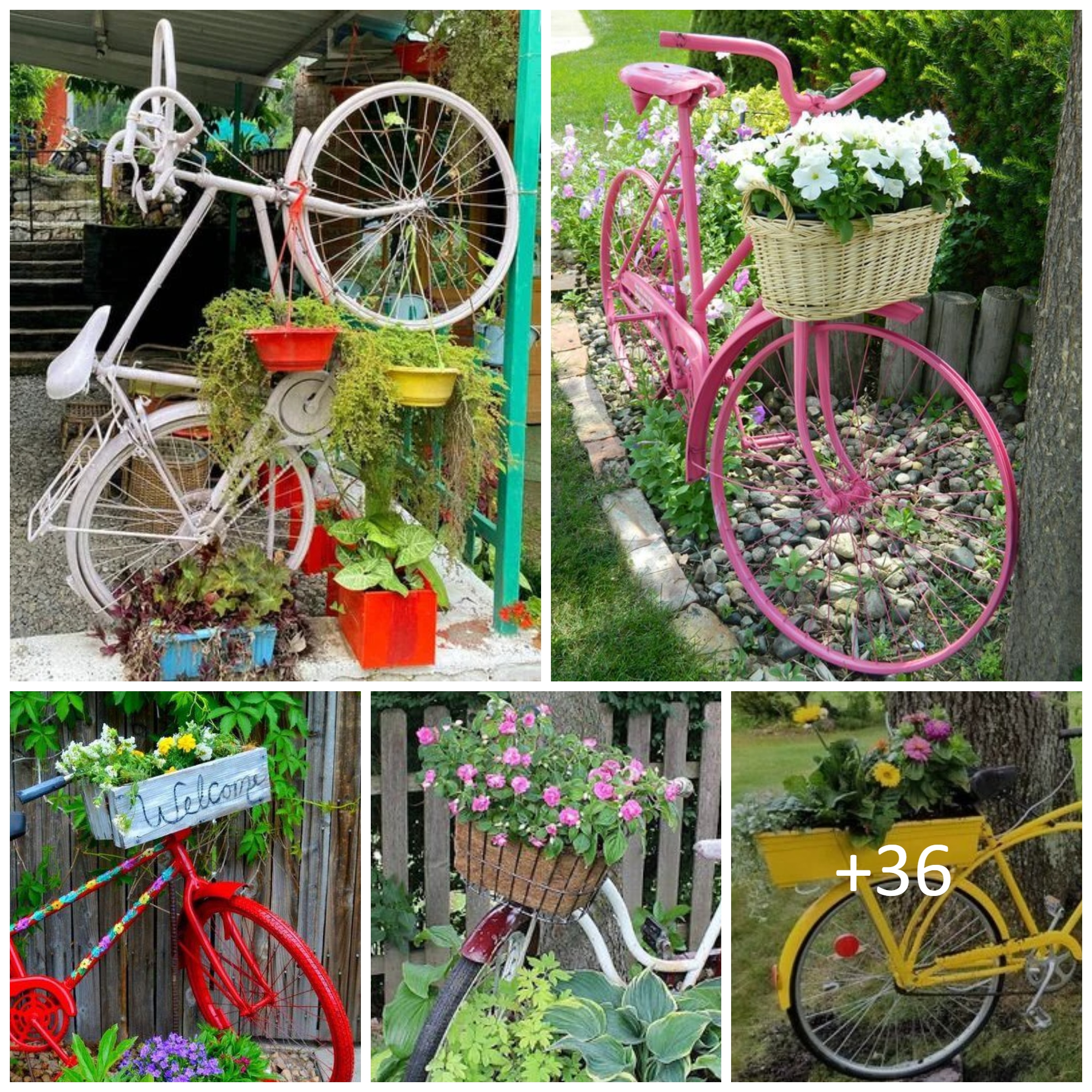 Vintage bicycle planter