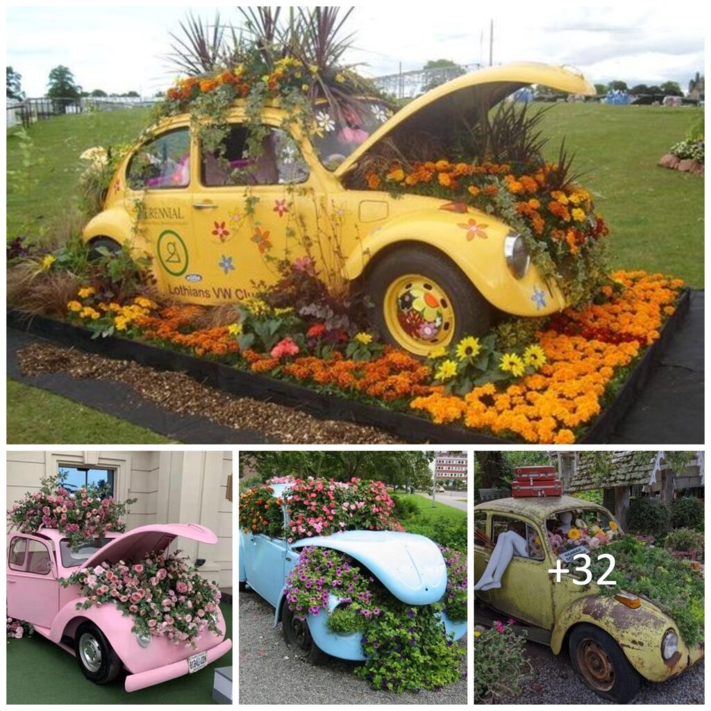 car flower 3