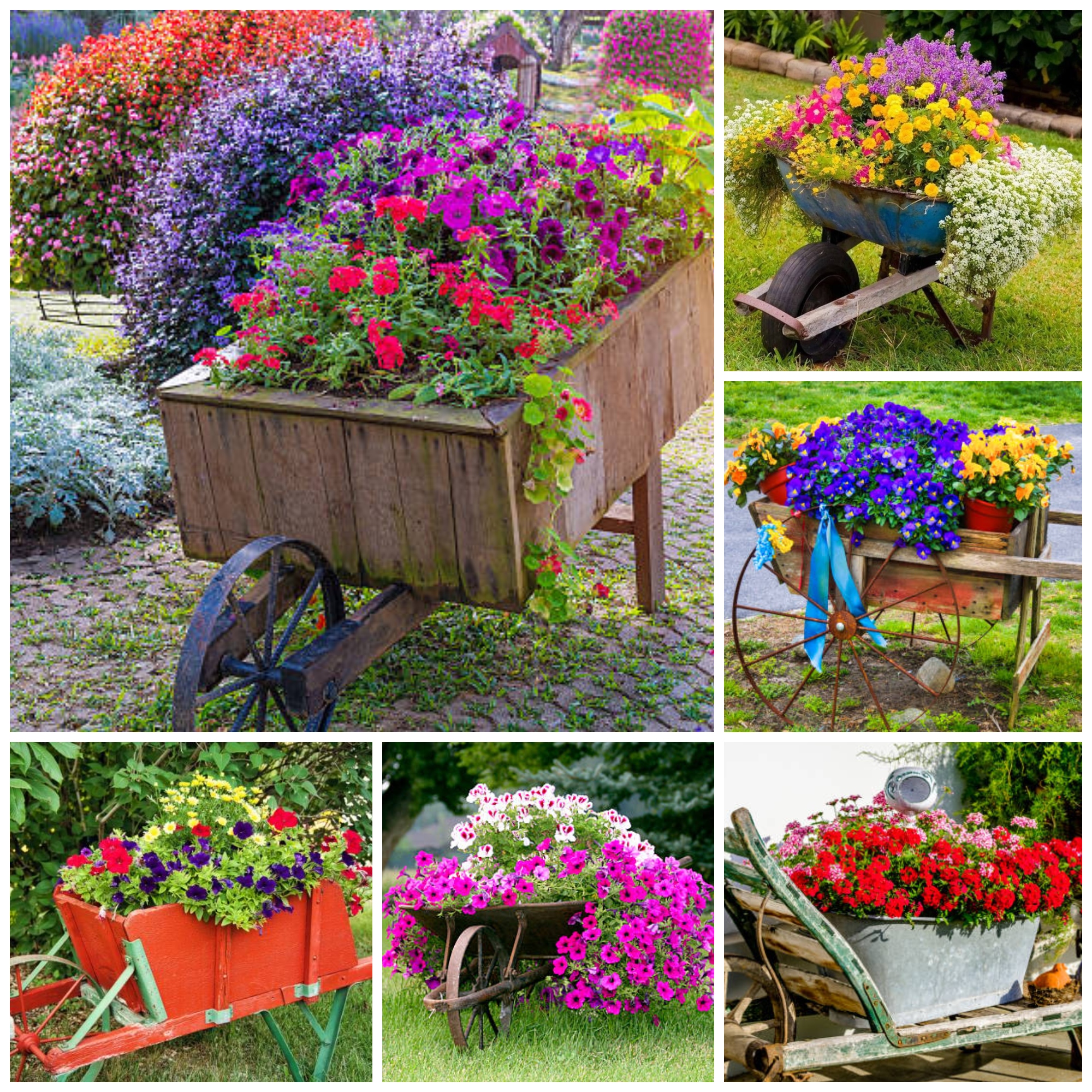 Container Gardening: The Complete Guide