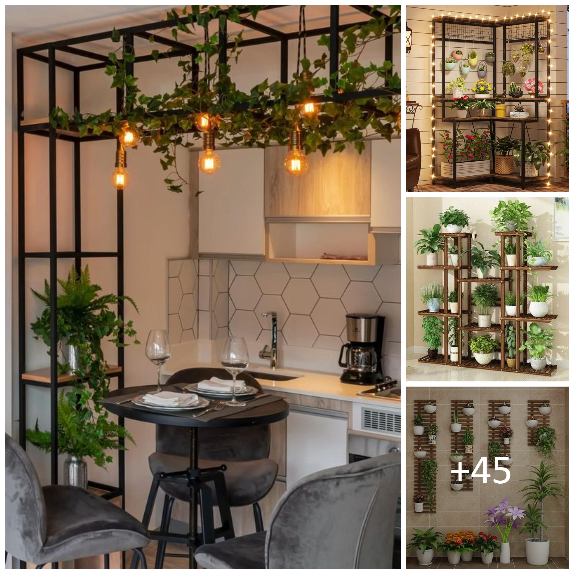 Creative Plant Stand Ideas for home
