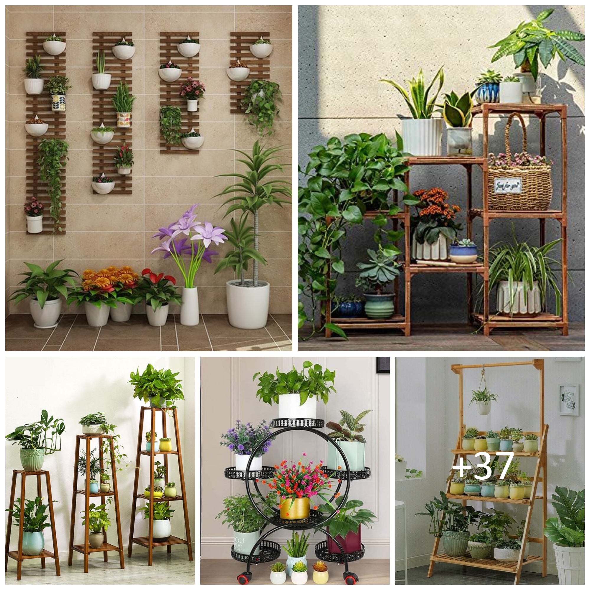 Creative Plant Stand Ideas