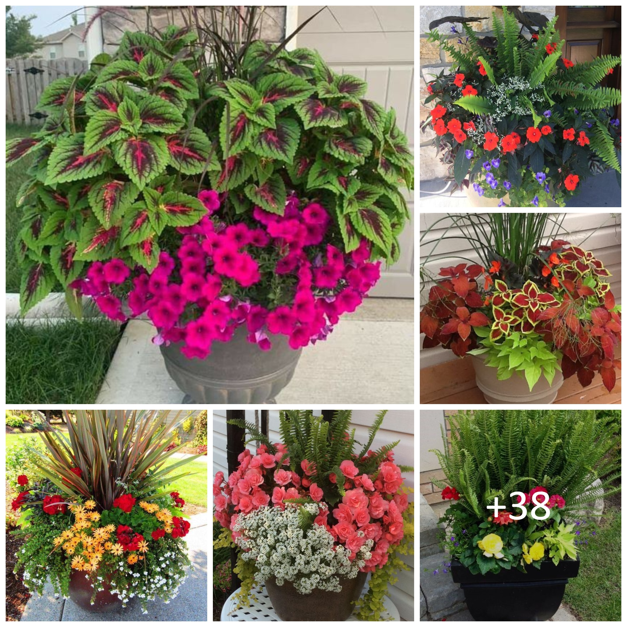 Stunning Flower Pot Ideas For Your Front Porch