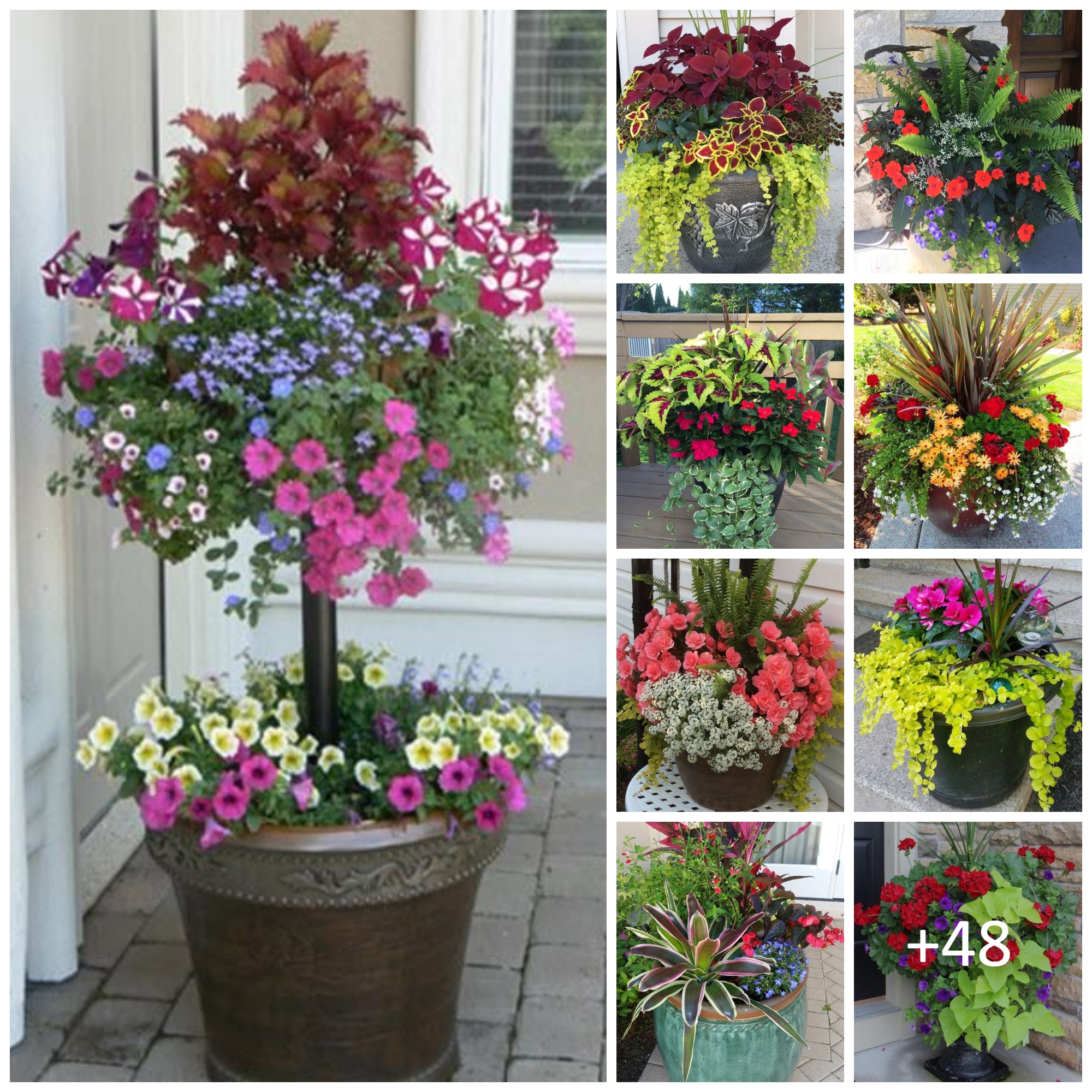 Beautiful Flower Pot Ideas