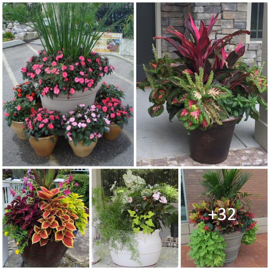 planter arrangement 3