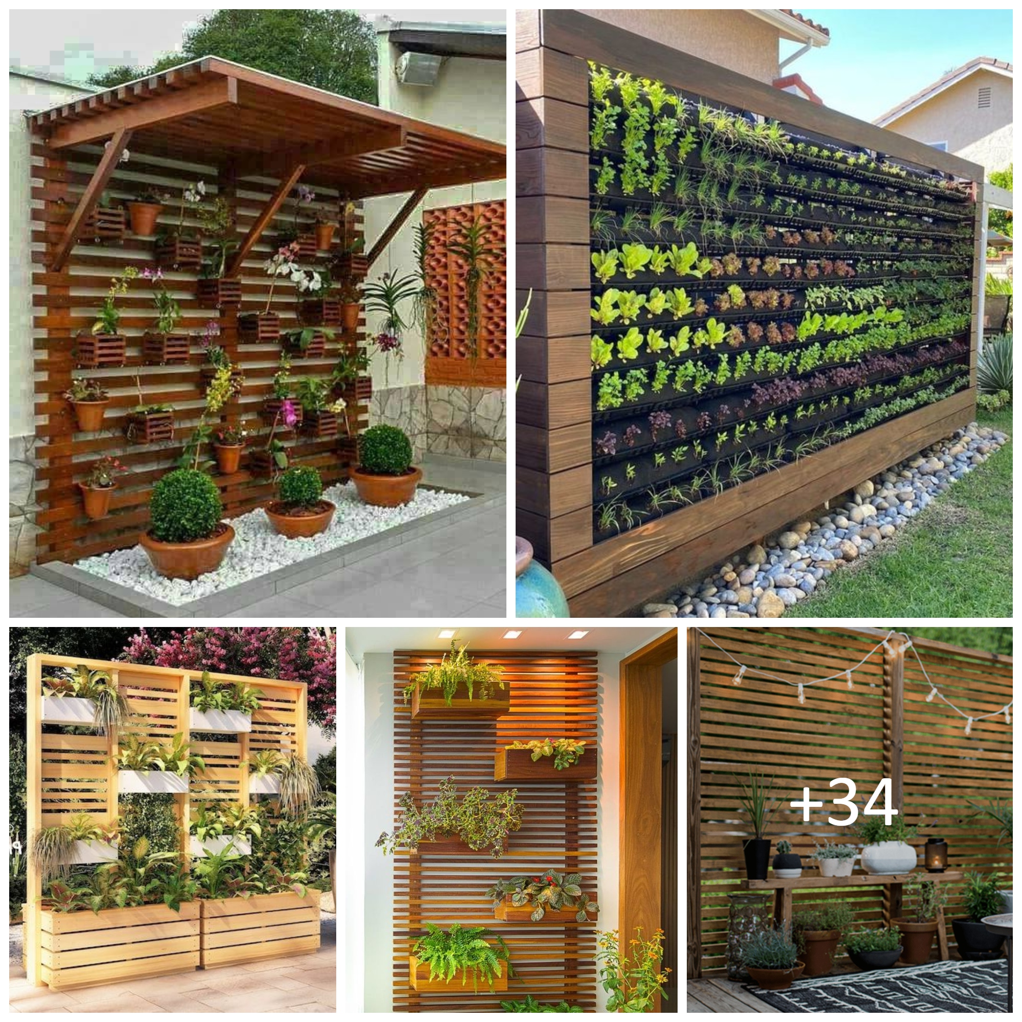 Vertical Garden Ideas for Backyard