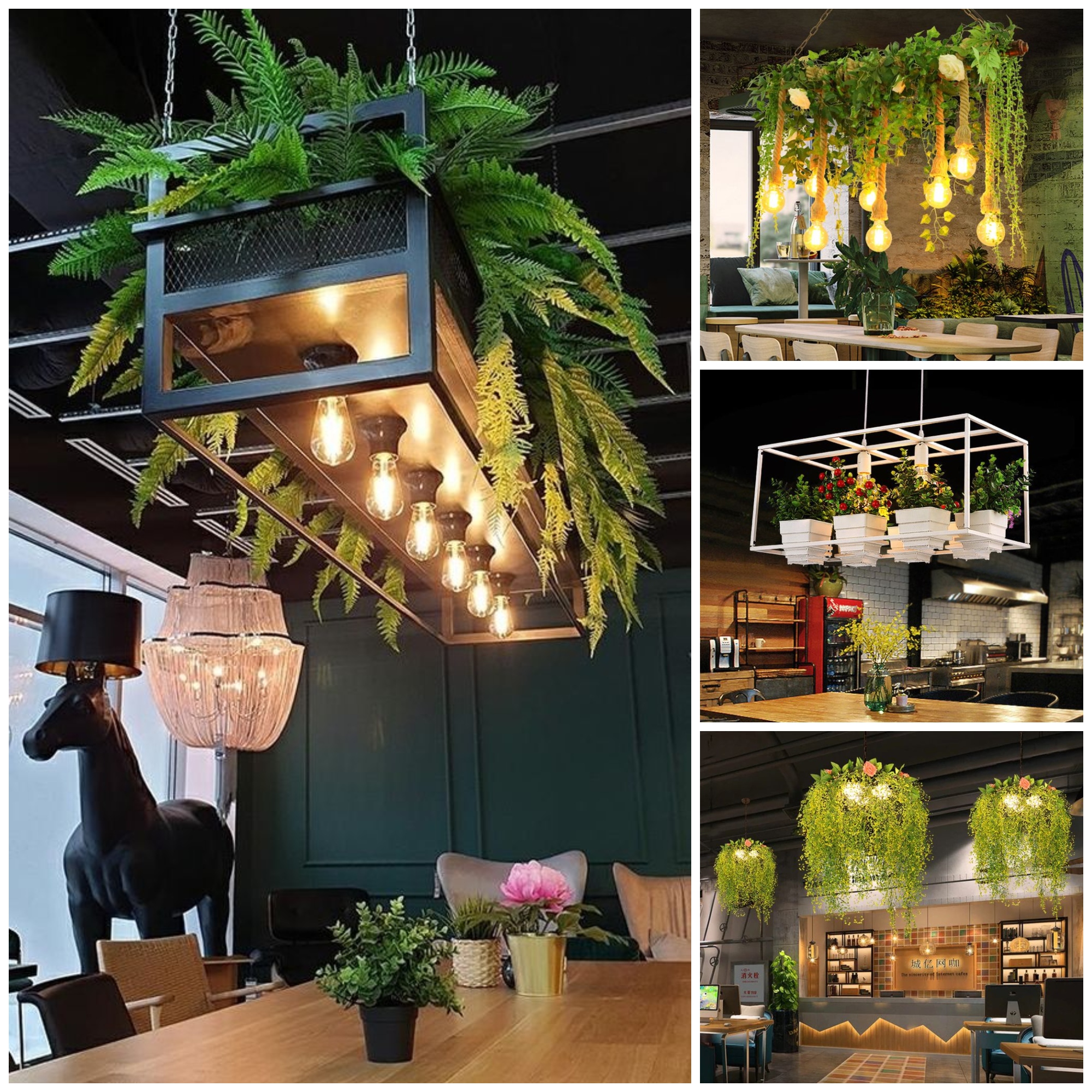 Home trends: hanging plants & lights