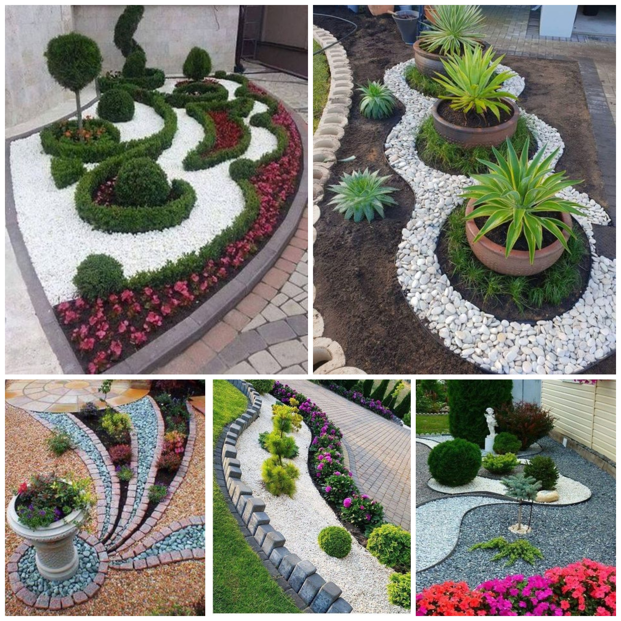 We decorate our flower beds with decorative gravel: 32 original ideas that will boost our garden to another level