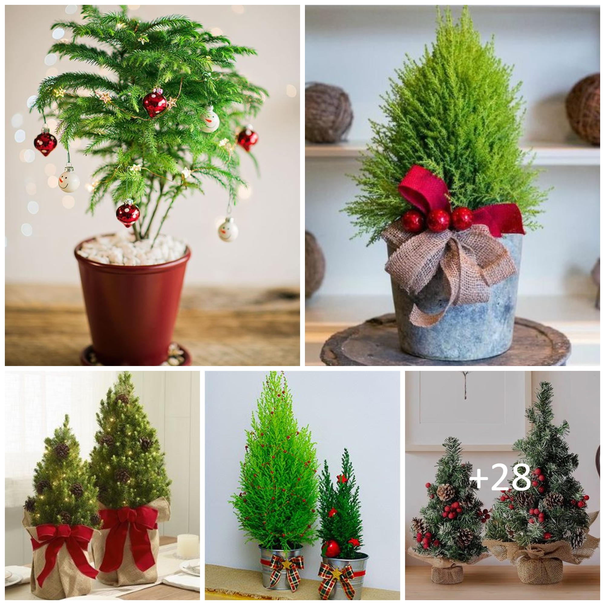 Tabletop Christmas Trees to Decorate Your Space