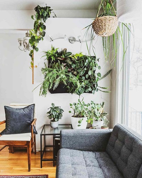 Decoration ideas for the wall behind the sofa with plants 2