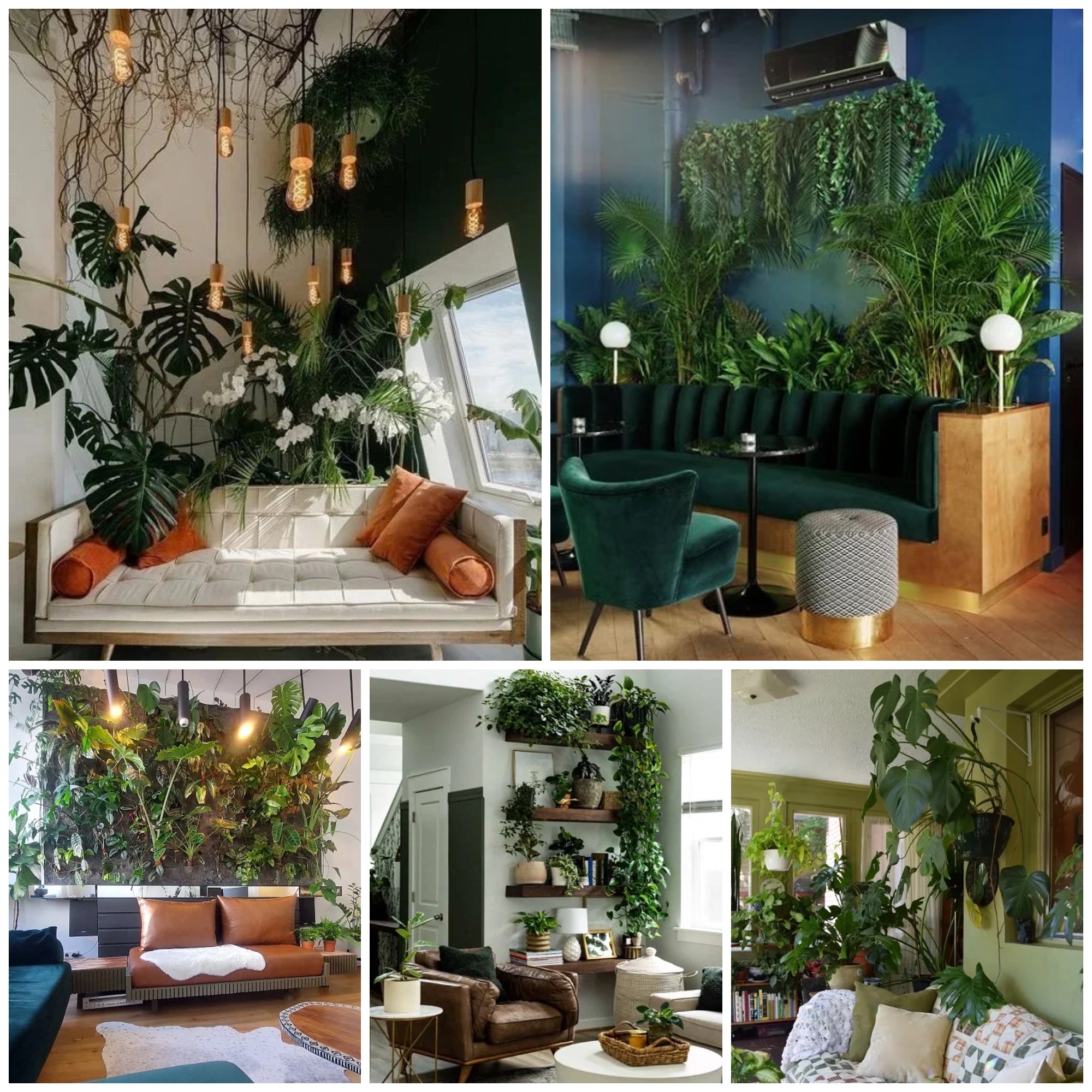 Cozy Wall Behind Sofa Decor Ideas with Plants