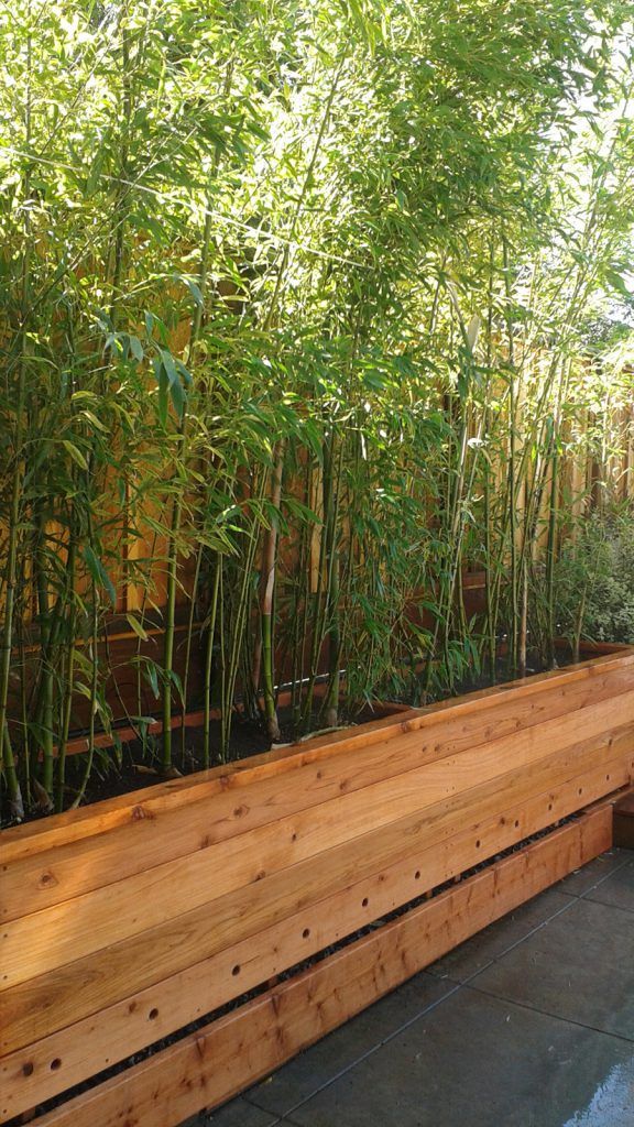 Creative Wooden Planter Box Ideas for Your Garden