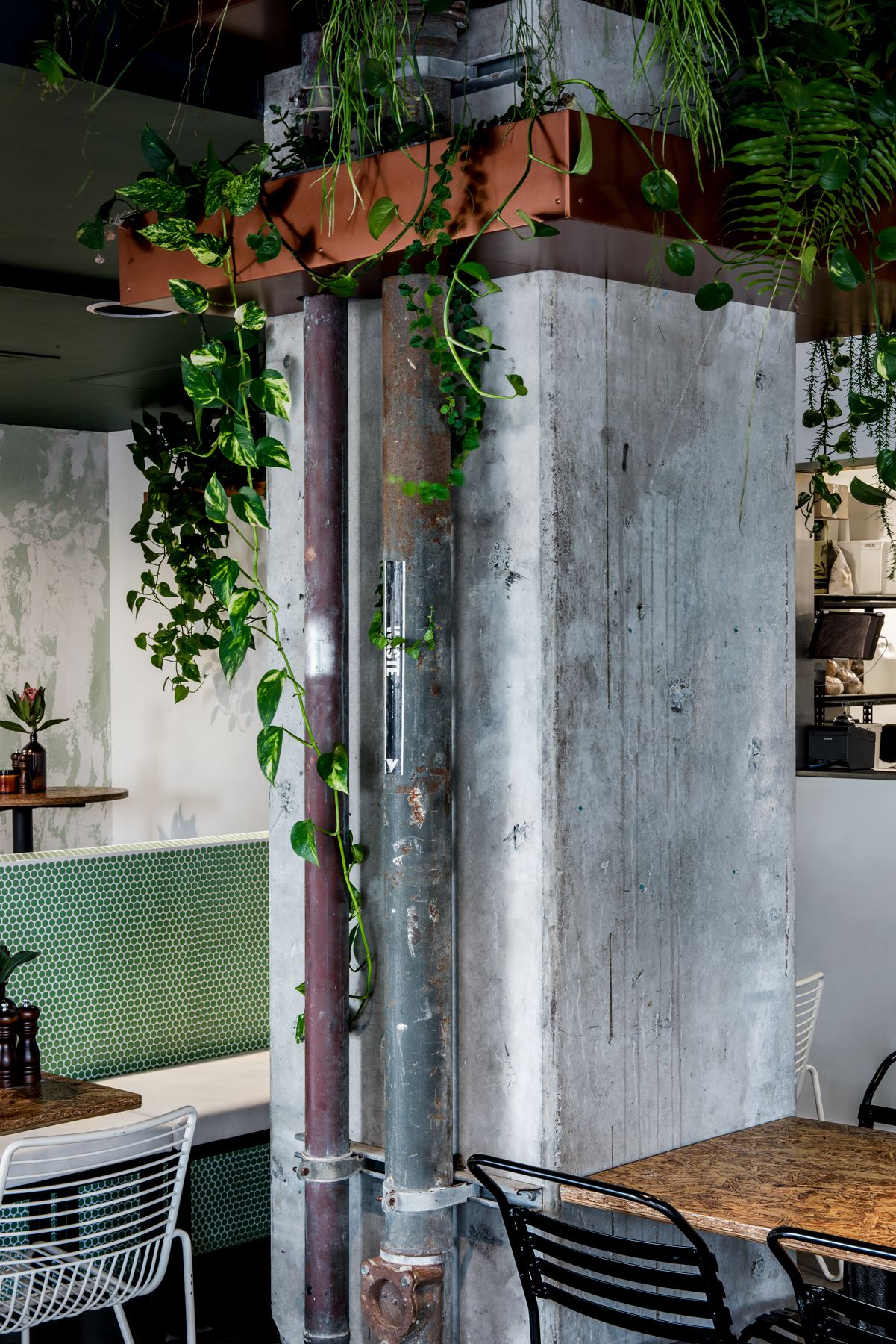 Elevate Your Home Decor with Hanging Plants