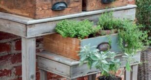 Garden Containers with Old Drawers
