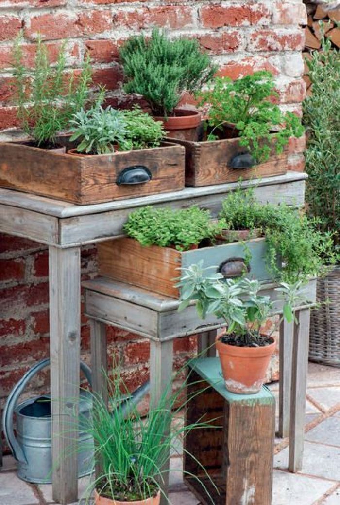 Creative Ways to Repurpose Old Drawers as Garden Containers