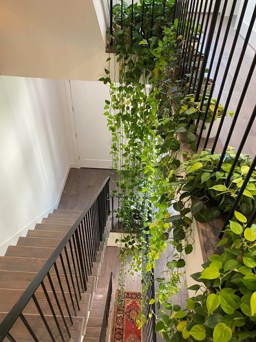 Indoor Garden Ideas In Under The Stairs