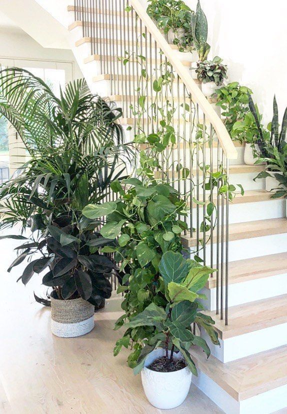 Plant Decor Ideas for Under the Stairs