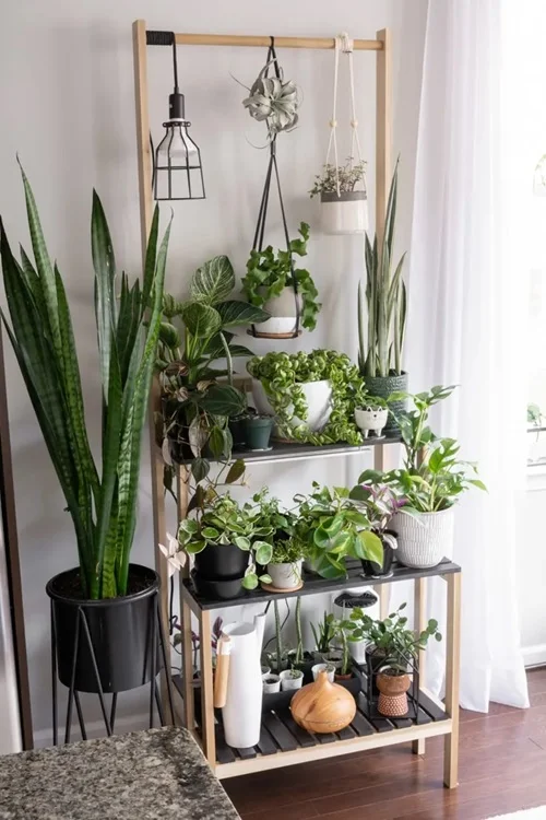 Creative Plant Stand Ideas to Elevate Your Home Decor