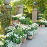 Flower Pot Ideas For Front Porch