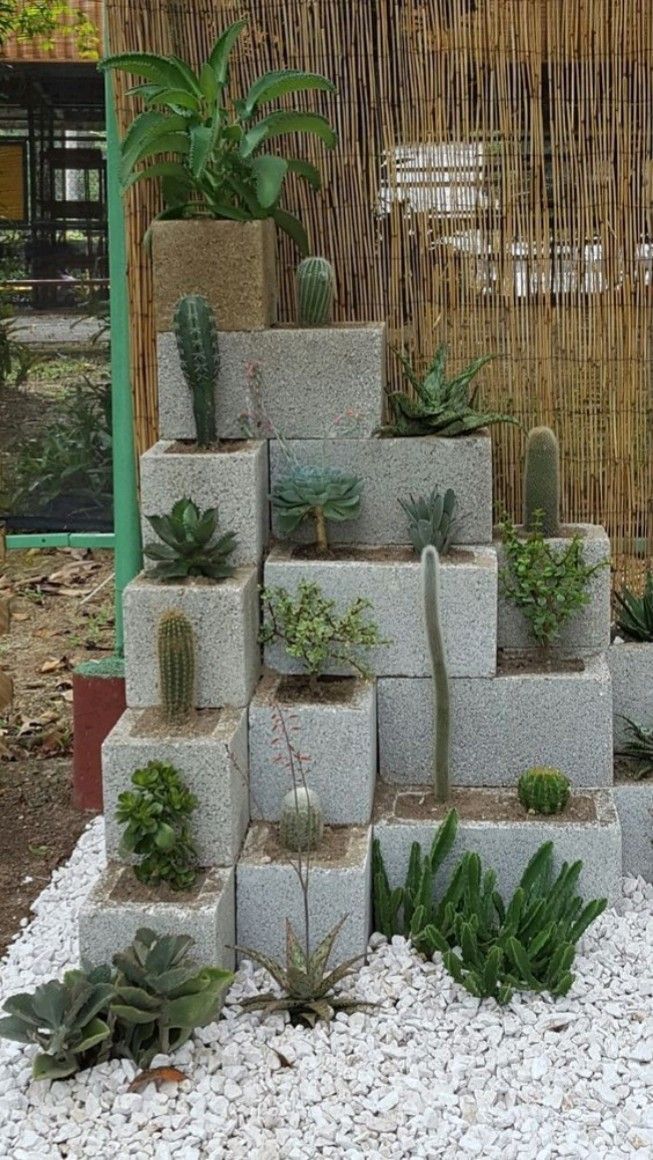 Creative Ways to Use Cinder Blocks in Your Outdoor Space