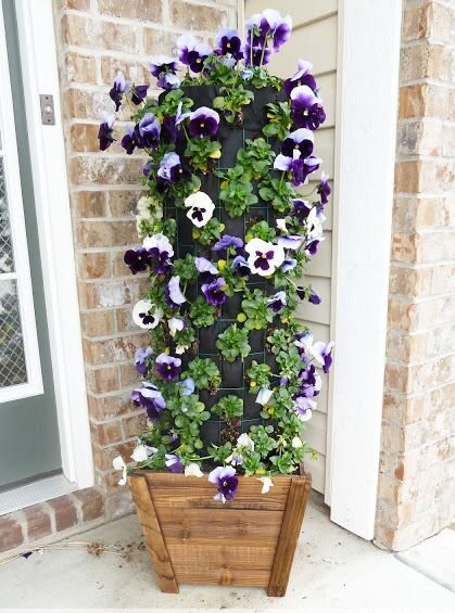 Creative Flower Pot Ideas to Elevate Your Front Porch Decor