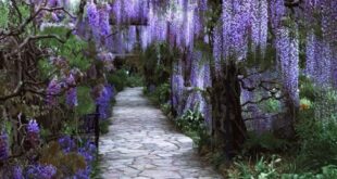 Gorgeous garden decor ideas
