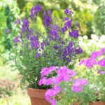 Stunning Flower Pot Ideas For Your Front Porch